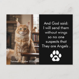 Custom Pet Memorial Photo Postcard  ポストカード