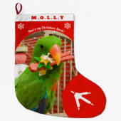 Custom Pet Parrot Photo Holiday Red Personalized  ラージクリスマスストッキング (正面)
