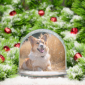 Custom Pet Photo (クリスマス)