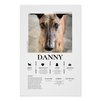 Custom Pet Photo  ポスター