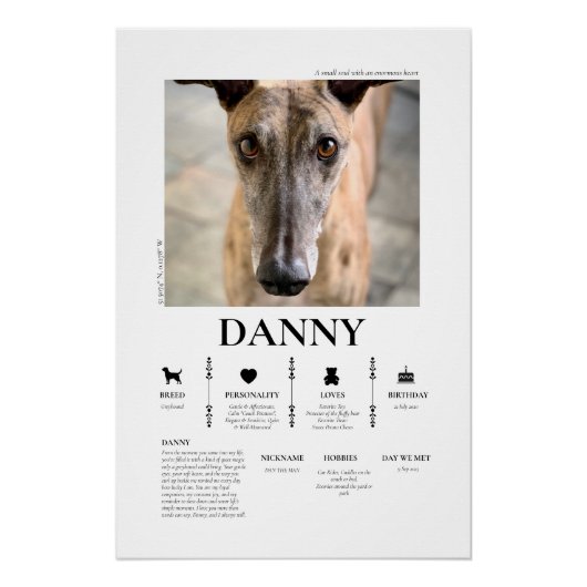 Custom Pet Photo ポスター (正面)