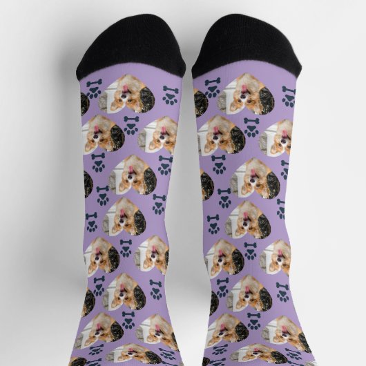 Custom Pet Photo and  Paw Prints Socks ソックス (上部)