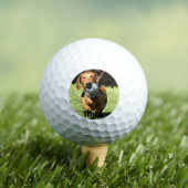 Custom Pet Photo and Text   ゴルフボール (インサイチュ 木)