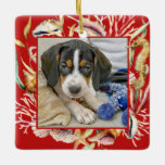 Custom Pet Photo Beach Christmas セラミックオーナメント<br><div class="desc">Create a lovely keepsake holiday ornament for your pet with this beach themed ornament. Your pet's square photo is framed with seashells,  a seahorse and sea plants. The back of the ornament has a text template to personalize with your desired text.</div>