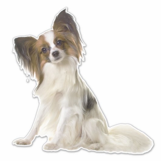 Custom Pet Photo Car Window Vinyl Sticker シール (正面)