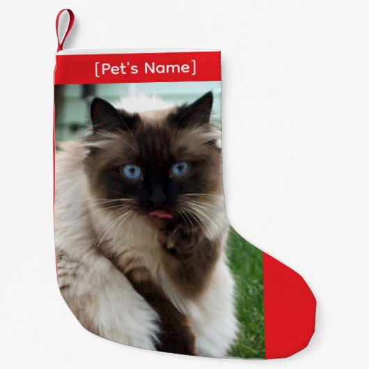 Custom Pet Photo Christmas Stocking スモールクリスマスストッキング (正面)