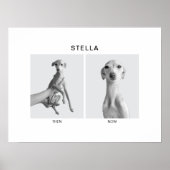 Custom Pet Portrait | Then and Now ポスター (正面)