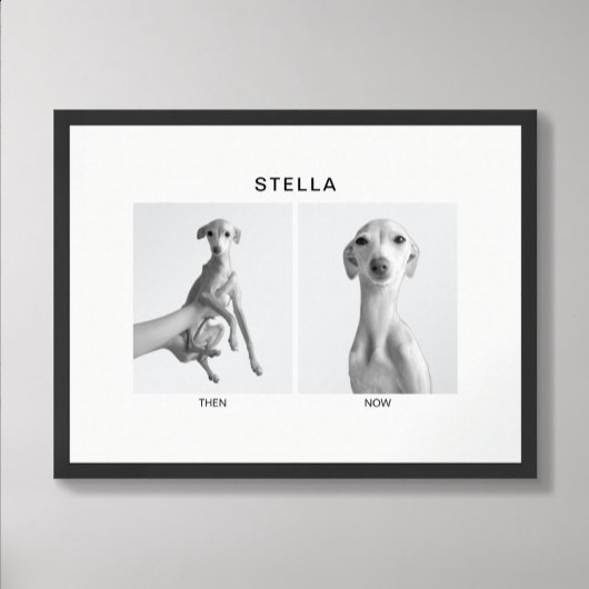 Custom Pet Portrait | Then and Now ポスター
