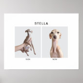 Custom Pet Portrait | Then and Now ポスター (正面)