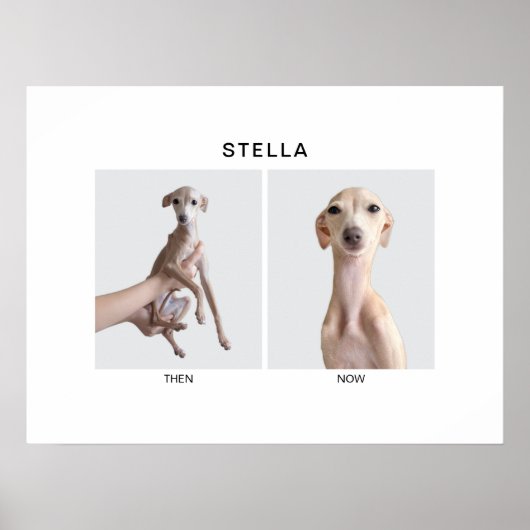 Custom Pet Portrait | Then and Now ポスター (正面)
