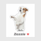 Custom Pet Stickers – Dog & Cat Photo Vinyl Decals シール (シート)