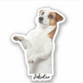 Custom Pet Stickers – Dog & Cat Photo Vinyl Decals シール (正面)
