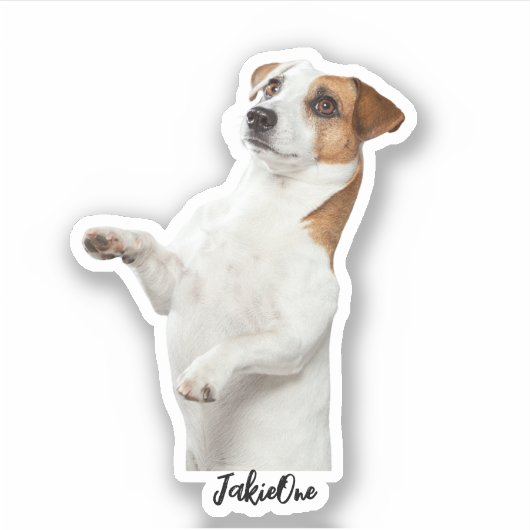 Custom Pet Stickers – Dog & Cat Photo Vinyl Decals シール (正面)