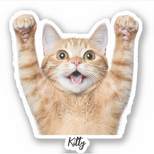 Custom Pet Stickers – Dog & Cat Photo Vinyl Decals シール (正面)