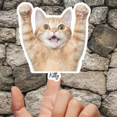 Custom Pet Stickers – Dog & Cat Photo Vinyl Decals シール