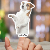 Custom Pet Stickers – Dog & Cat Photo Vinyl Decals シール
