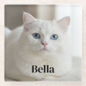 Custom photo coaster with snow white cat ガラスコースター (正面)