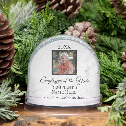 Custom Photo Corporate Employee Gift Award (冬)