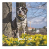 Custom Photo Cube with Text Personalized Design フォトキューブ (右)