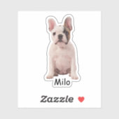 Custom photo French bulldog puppy シール (シート)