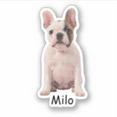 Custom photo French bulldog puppy シール (正面)