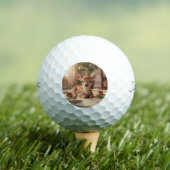Custom Photo Golf Ball Special Occasion Gift ゴルフボール (インサイチュ 木)
