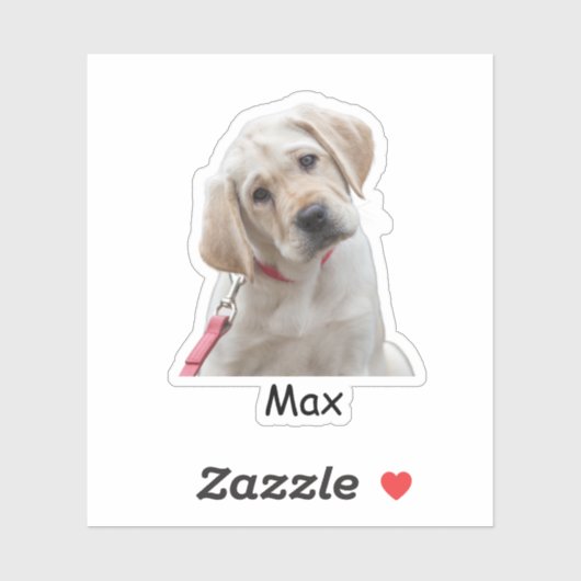 Custom photo Labrador Retriever puppy シール (シート)