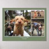  Custom Photo Pets Family Quotes & Funny Sayings ポスター (正面)