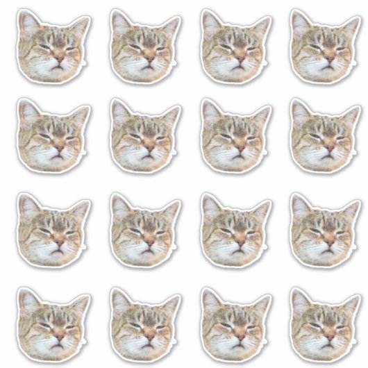 Custom Photo Waterproof Vinyl  シール (正面)