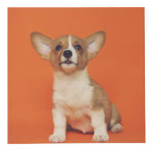 Custom Photo With Your Pet Dog 5 Picture On フォトキューブ (右)