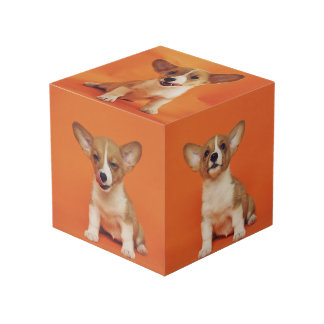 Custom Photo With Your Pet Dog 5 Picture On フォトキューブ