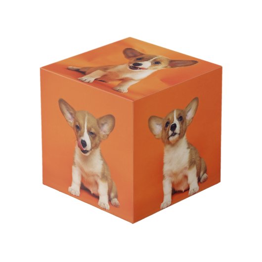 Custom Photo With Your Pet Dog 5 Picture On フォトキューブ (正面アングル)