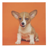 Custom Photo With Your Pet Dog 5 Picture On フォトキューブ (正面)