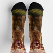 Custom Photo With Your Pet Dog Name Picture On ソックス (上部)