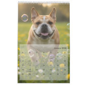 Custom Poppy Dog 2026 Calendar カレンダー (1月 2026)