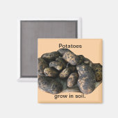 Custom Potato Magnets, harvested マグネット (正面/裏面)
