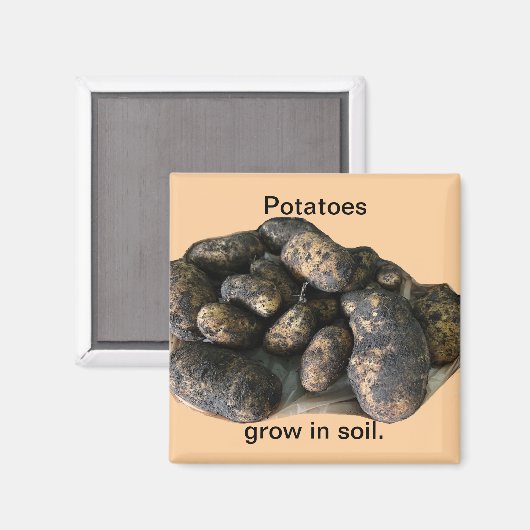 Custom Potato Magnets, harvested マグネット (正面/裏面)