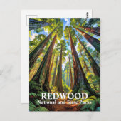 Custom Redwood National Park Trees Painting Travel ポストカード (正面/裏面)
