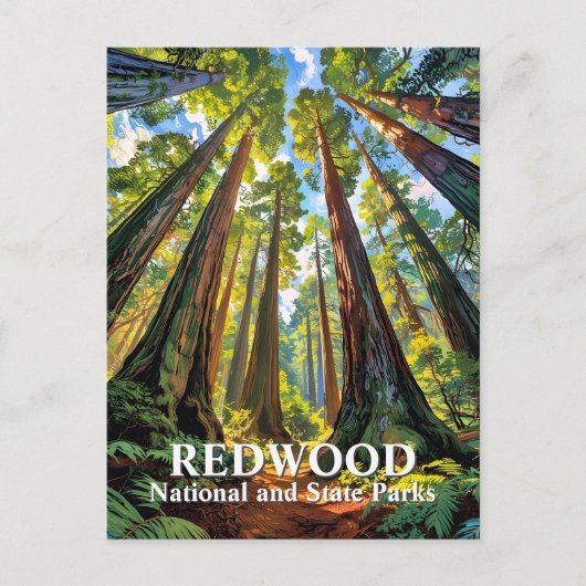 Custom Redwood National Park Trees Painting Travel ポストカード (正面)