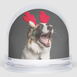 Custom Snow Globe with Your Dog’s Photo