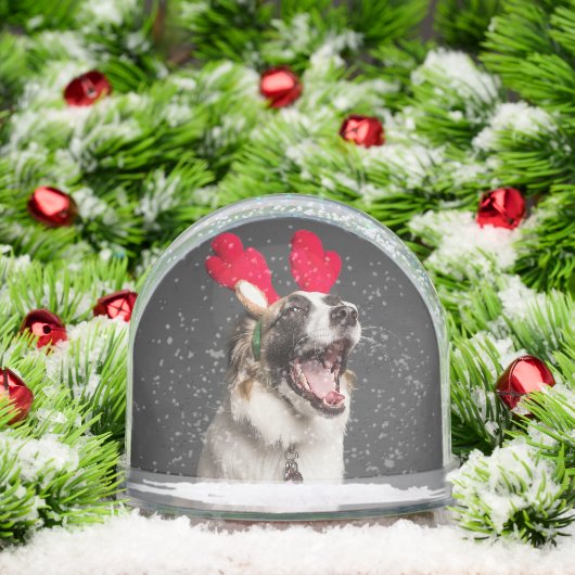 Custom Snow Globe with Your Dog’s Photo (クリスマス)