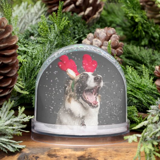 Custom Snow Globe with Your Dog’s Photo (冬)