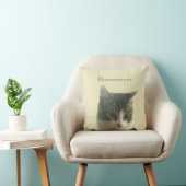 Custom Tabby Cat Photo on Light Beige クッション (椅子)