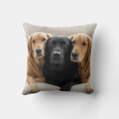 Custom Text Photo Collage Pet Dog Earthy Green クッション (裏面)