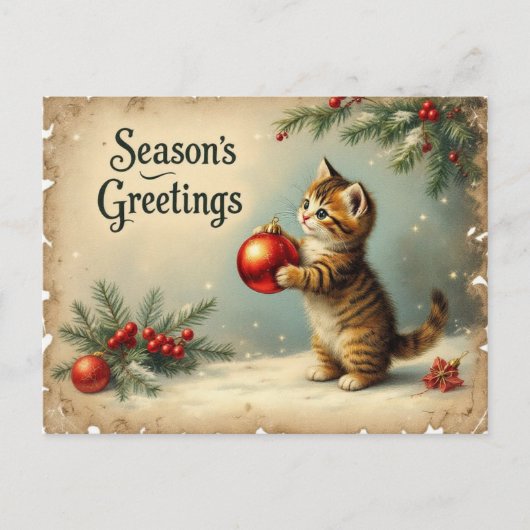 Custom Text Season’s Greetings Kitten Postcard シーズンポストカード (正面)