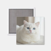 Custom white cat photo magnet for fridge マグネット (正面/裏面)