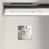 Custom white cat photo magnet for fridge マグネット (インサイチュ (食洗機))