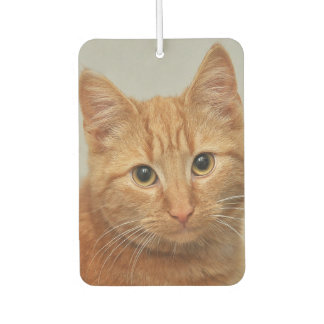 CUSTOM YOUR CAT PHOTO AIR FRESHENER カーエアーフレッシュナー