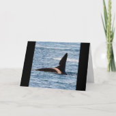 Customisable John Coe Killer Whale West Coast Orca カード (正面)