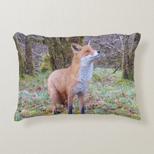 Customisable Red Fox Looking Up Cushion アクセントクッション (正面)
